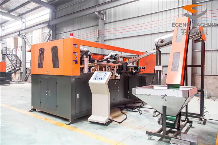 CNCM6006-9.jpg