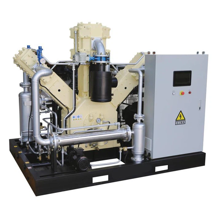 Professional Low Noise Oil Free Piston Air Compressor Hot Selling Products